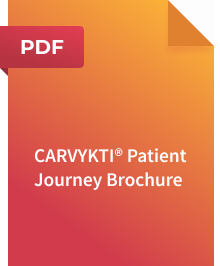 CARVYKTI® Patient Journey Brochure, PDF thumbnail